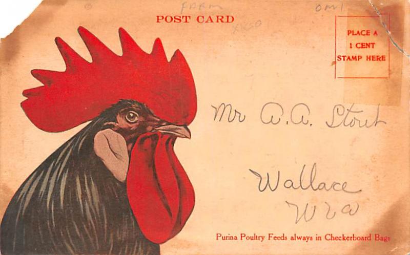 Advertising Post Card Purina Scratch Feed Scratch Feed, Chick Feed Writing on...