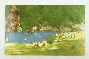 South Fork Eel River, Richardson Grove State Park, Calif. Vintage Postcard P99