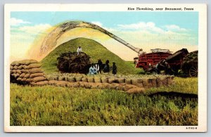 Beaumont Texas~Farm~Rice Threshing Harvest Scene~Wagon~Linen 1940s Postcard