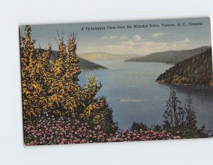 Postcard A Picturesque View from the Malahat Drive Victoria Canada