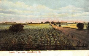 GALESBURG Illinois IL  COUNTRY VIEW  Farm Fields~Dirt Road KNOX CO 1908 Postcard