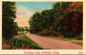 Nebraska Greetings From Wisner With Country Road