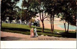 Waterfront Scene at Northport ME Vintage Postcard N38