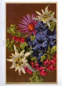 234931 Greeting BOUQUET Flowers Vintage Colorful postcard