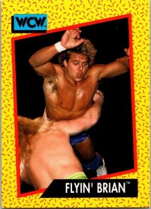 1991 WCW Wrestling Card Flyin' Brian Brian Pillman sk21214