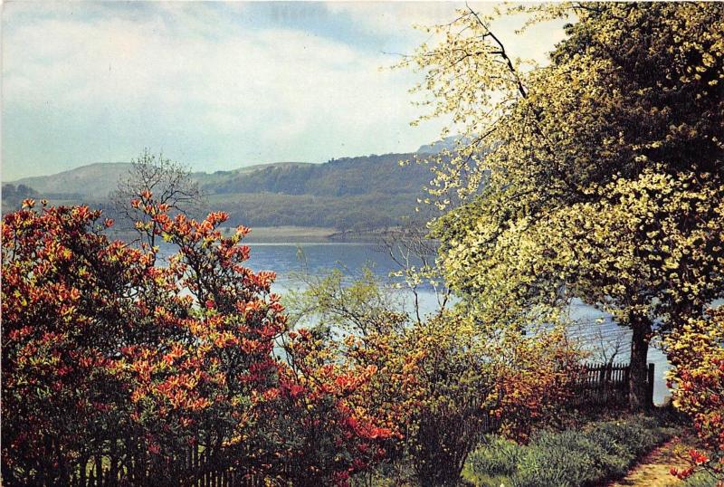 B86875 coniston water lancashire  uk