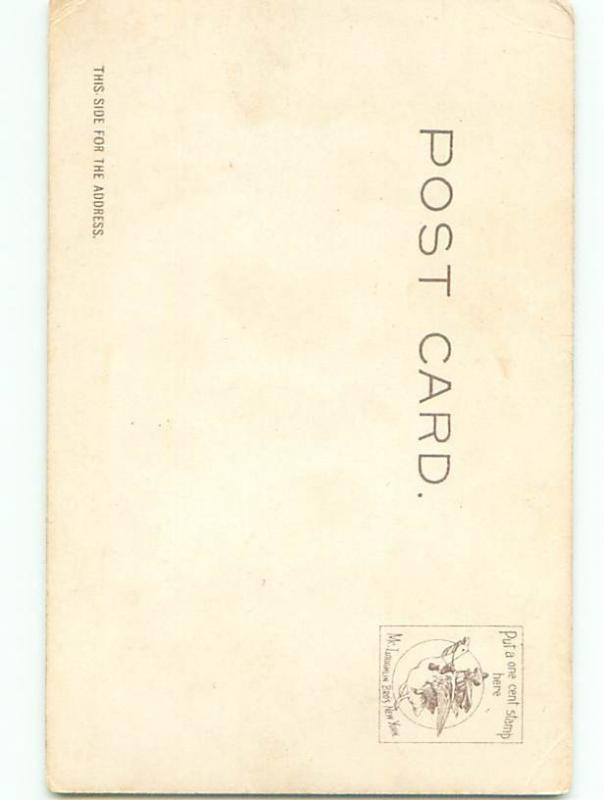 Divided-Back PRETTY WOMAN Risque Interest Postcard AA7987