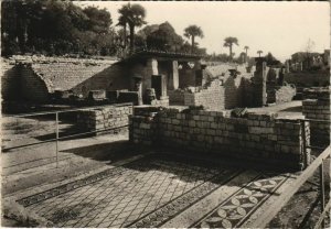 CPM VAISON-la-ROMAINE Mosaique du Laraire de la Maison des Messii (1086971)