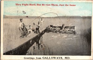 Greetings from Galloways MD, Men Fishing Exaggeration Vintage Postcard N59