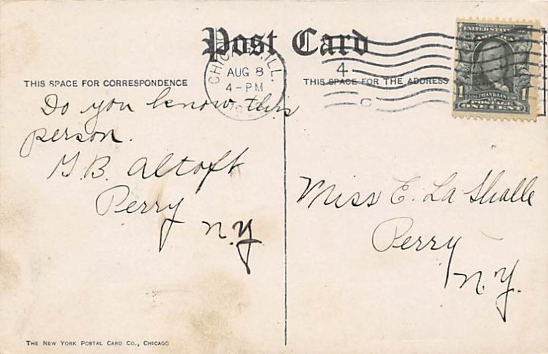Bear Post Card Bear Pit Lincoln Park, Chicago, IL, USA 1938