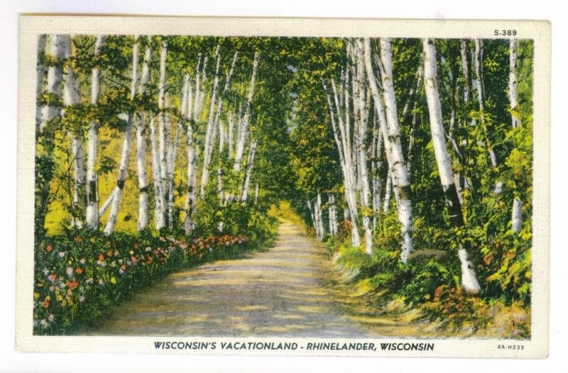 Hayward, Wisconsin to Highland Park, Illinois 1940 used Postcard, Rhinelander