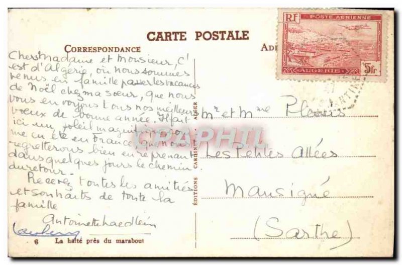 Old Postcard La Halte Pres Du Marabout Camels