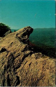 Postcard MOUNTAIN SCENE Charlotte North Carolina NC AK1167