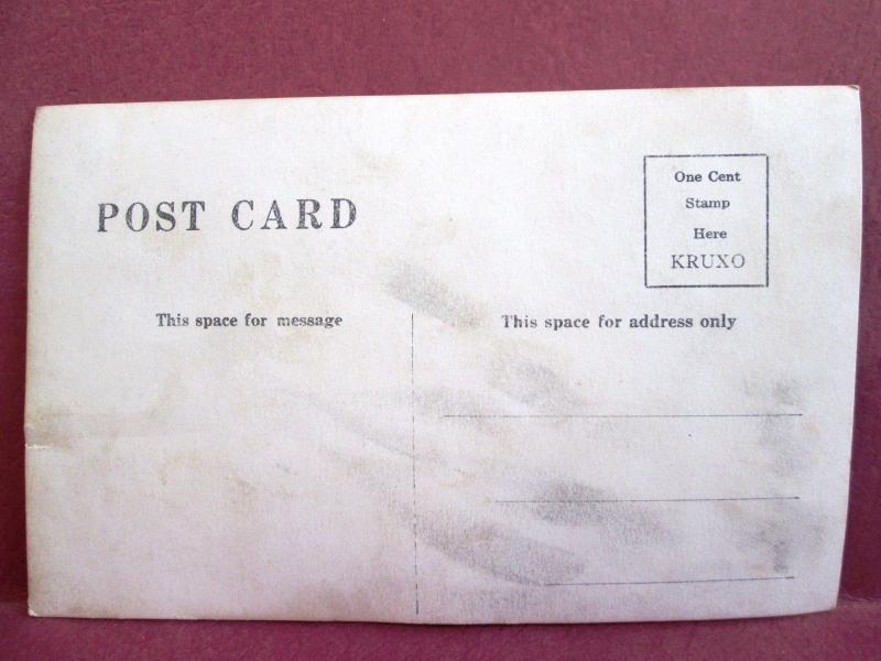 Old RPPC Postcard WI Hudson Willow River Falls