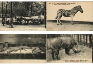 ZOO JARDIN DE PLANTES ANIMAUX 200 CPA pre-1930 (L4066)