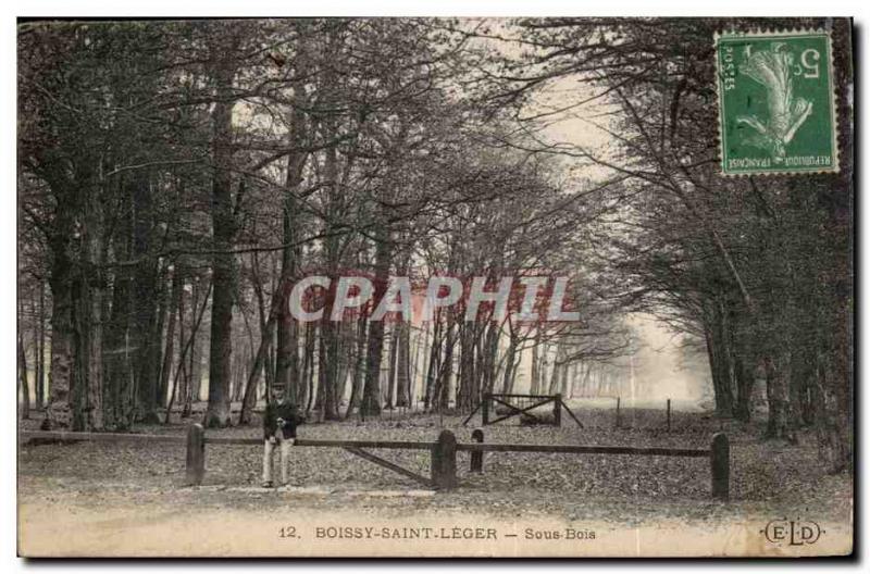 Postcard Old Boissy St Leger Undergrowth