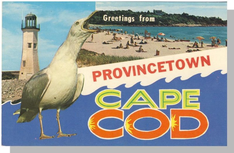 Provincetown, Massachusetts/Mass/MA Postcard, Greetings From Cape Cod,Lighthouse