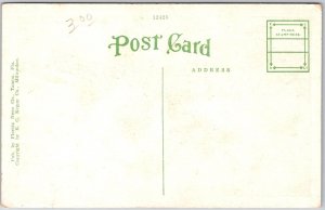 Florida FL, Banana Blossoms and Fruit, Countryside, Greenfield, Vintage Postcard