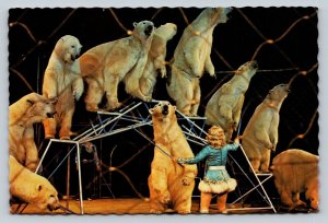 Ursula Bottcher with Trained Polar Bears Florida 4x6 Postcard 1753