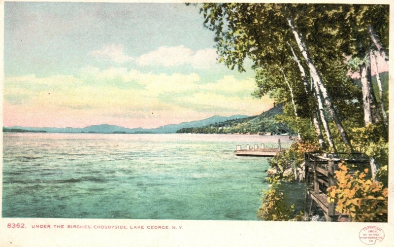 Vintage Postcard 1900's Under The Birches Crosbyside Lake New