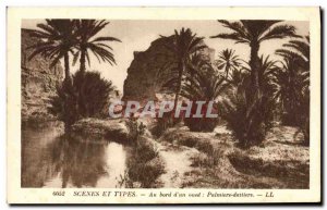 Old Postcard On board & # 39un wadi Palms Palm Dattiers