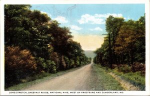 Postcard MD National Pike Chestnut Ridge Long Stretch West Frostburg Cumberland