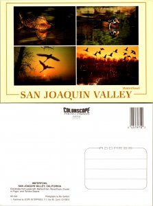 San Joaquin Valley, Calif. (11235