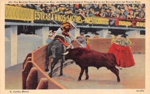 JUAREZ, Mexico      MOUNTED TOREADOR~BULL~BULLFIGHTER    c1940's Postcard