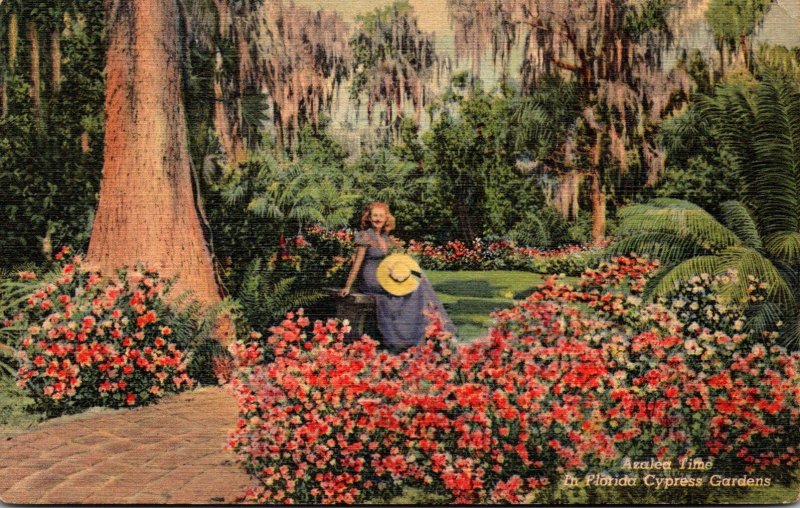 Florida Cypress Gardens Azalea Time 1944 Curteich