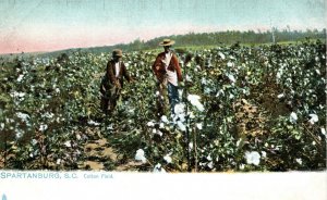 Circa 1910 Cotton Field Spartanburg South Carolina Kids Vintage Postcard F24