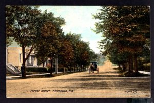 Nova Scotia YARMOUTH Forest Street View with Horse and Buggy Valentine & Sons DB