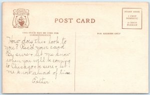 c1910s Chicago, IL Rustic Bridge Humboldt Park Nice PC Litho Photo Hammon A324