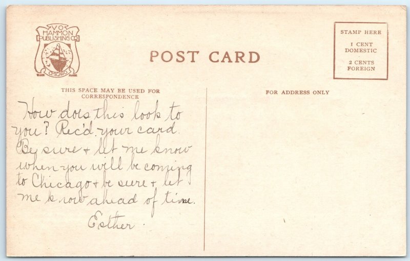 c1910s Chicago, IL Rustic Bridge Humboldt Park Nice PC Litho Photo Hammon A324