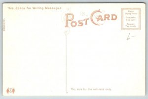 Danbury  Connecticut  Main Street   Postcard