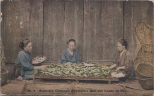 Advertising Postcard Corticelli Spool Silk No 4 Japan Selecting Silkworms