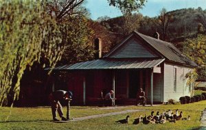 LYNCHBURG TN~JACK DANIELS~HOLLOW-STATUE-OFFICE-CHARCOAL~LOT OF 4 1950s POSTCARDS