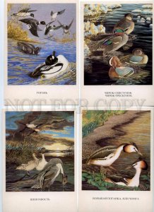 152478 Birds of Russia BAIKAL COMPLETE Set Old 16 Cards #2