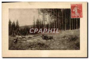 Old Postcard Deer Hunting