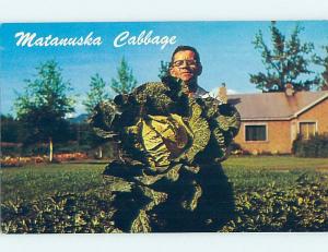 Pre-1980 CABBAGE RECORD Palmer Wasilla - Big Lake - Houston Willow AK hn1310-12