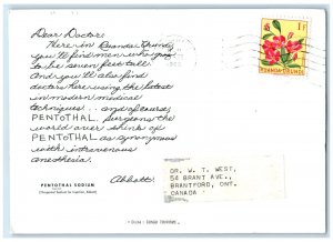 1960 Pentothal Sodium Dear Doctor Abbott Cows Congo Tourism Postcard