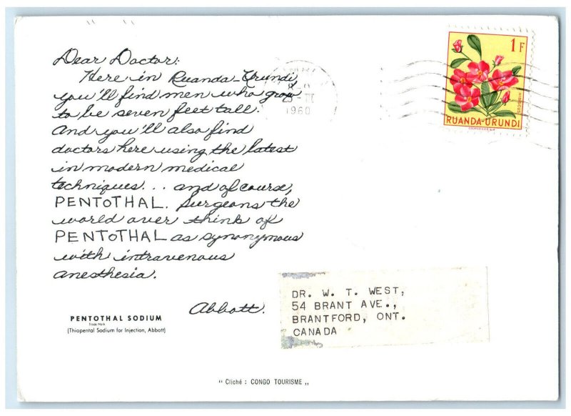 1960 Pentothal Sodium Dear Doctor Abbott Cows Congo Tourism Postcard