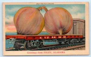 Greetings From FOLEY, AL Alabama ~ ONION EXAGGERATION c1940s Railroad Postcard