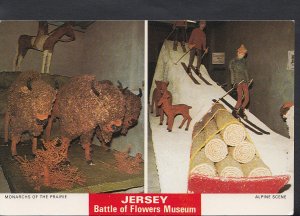 Channel Islands Postcard - Jersey - Battle of Flowers Museum  B2632