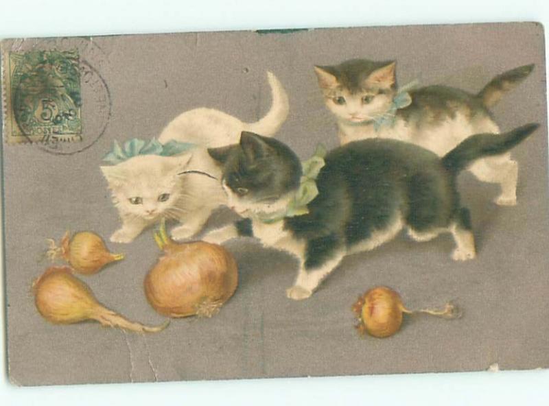 foreign 1901 Postcard KITTEN CATS PLAYING WITH ONION AC3830
