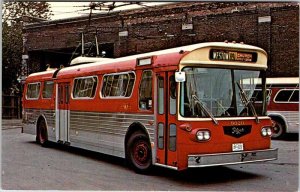 POSTCARD SCENE Toronto Ontario ON AO8156