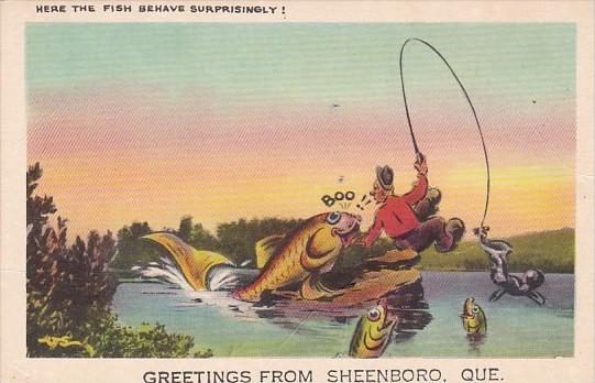 Canada Greetings From Sheenboro Fishing Humour