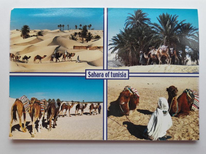 Tunisia, Africa, Sahara of Tunisia, Colour Postcard