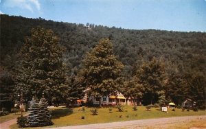 Standfast Motel Hancock, New York Postcard
