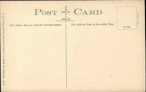 Walton NY New York Birdseye View of Catskills c1900-20s Vintage Postcard