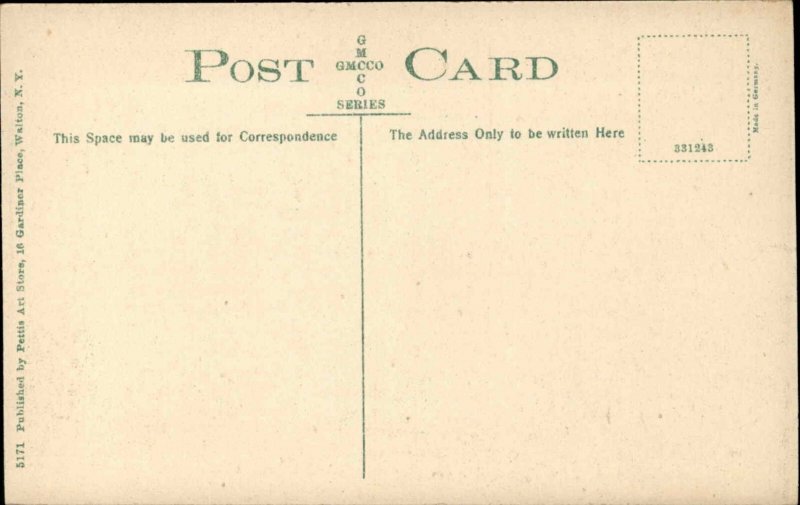 Walton NY New York Birdseye View of Catskills c1900-20s Vintage Postcard